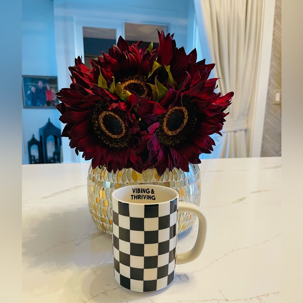 Room Essentials Vibing & Thriving checkered coffee mug